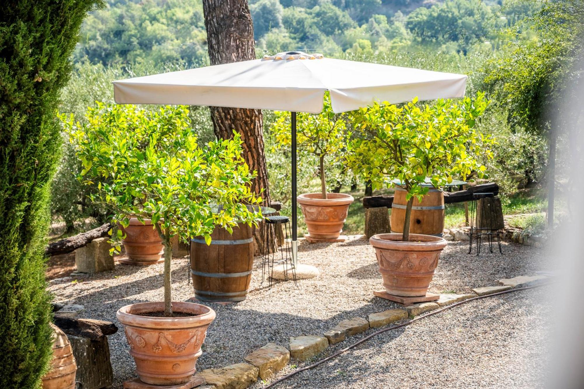 Willa Savignola Paolina Greve in Chianti Zewnętrze zdjęcie